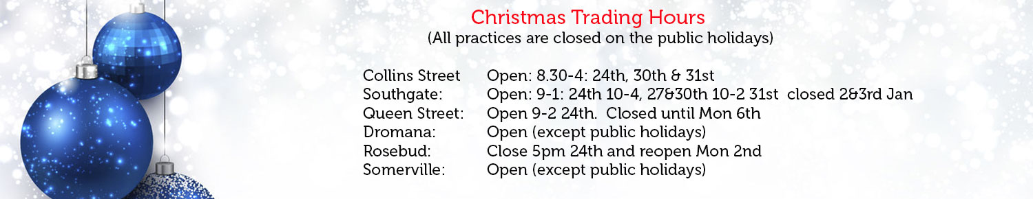 Christmas trading hours